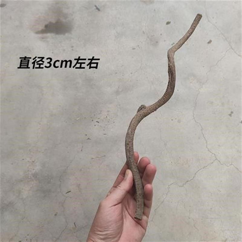 天然藤条爬虫饲养箱造景过江龙藤条守宫蛇蟒蜥寄居蟹蜴攀爬树枝,宠物/宠物食品及用品,爬宠缸/箱,淘宝优惠券,粉丝福利购,淘宝优惠卷