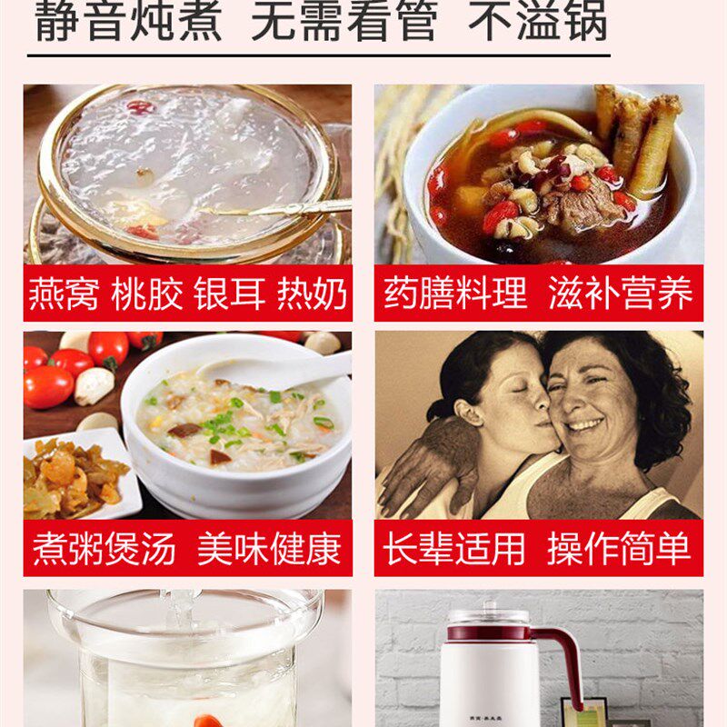 炖盅燕窝电炖盅杯一人全自动家用的迷你燕窝机炖锅智能壶