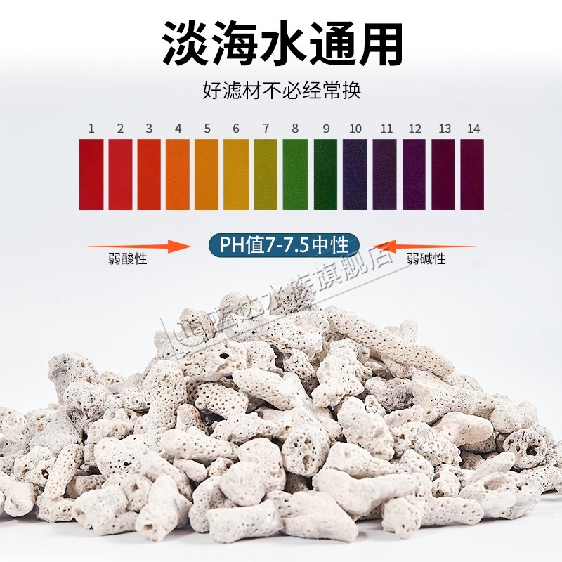 纯天然珊瑚骨鱼缸过滤材料净化珊瑚石造景骨底砂水族箱砂装饰滤材