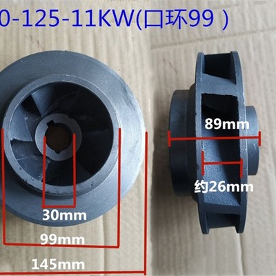IGIG管道离心泵铸铁叶轮w .w水泵