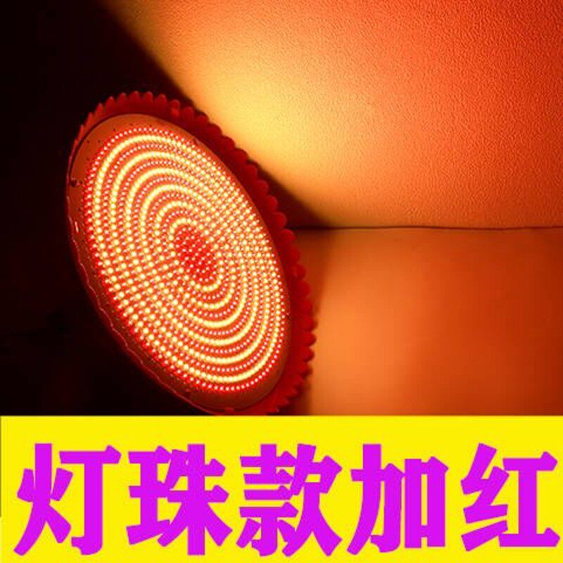 熟食灯 烧腊灯 卤味灯  猪 鲜灯黄暖红