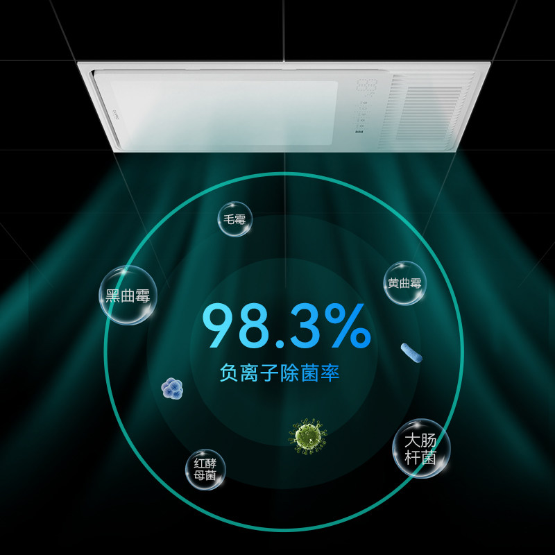 佳普乐风暖浴霸灯取暖浴室排气扇一体集成吊顶暖风