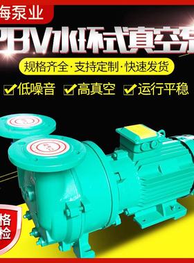2BV水环式真空泵2BV不锈钢微型真空泵工业用机电设备t微型气泵