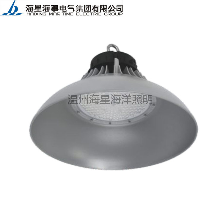 海星海事船用灯具CGD6-LB货仓灯港口码头厂房仓库照明IP66