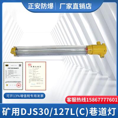 正安矿用长形巷道灯DJS30隔爆兼本安型巷道灯矿上井下用煤安标志