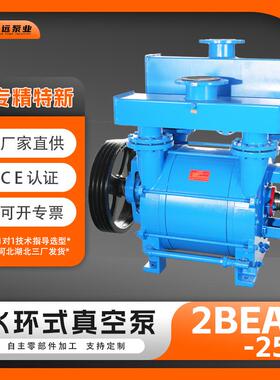 冀真2BE252水环真空泵耐磨防腐工业气体输送泵负压真空泵博远泵业