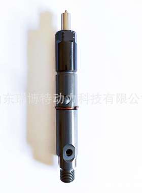 0432131857DLLA146P203国产喷油器真正质量稳定压280