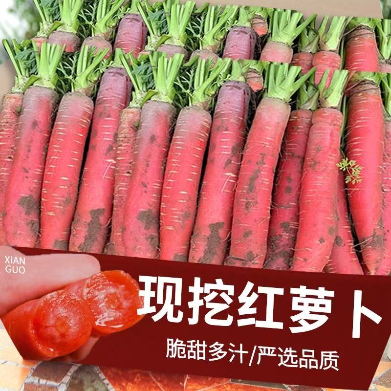 陕西红萝卜脆甜红皮透心水果萝卜