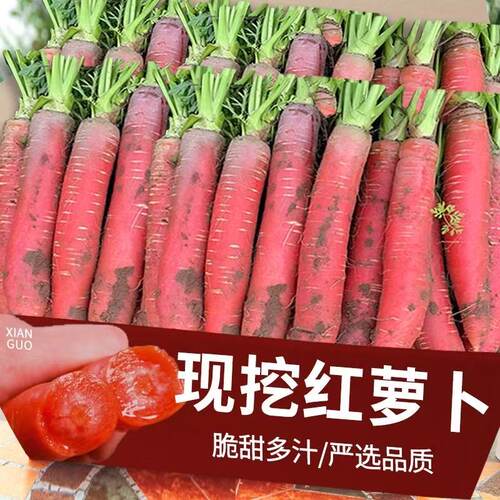陕西红萝卜脆甜红皮透心水果萝卜