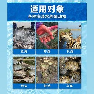 敌百虫鱼药鱼用鱼塘杀虫药锚头鳋鱼缸锦鲤杀虫专用药敌百虫水产用
