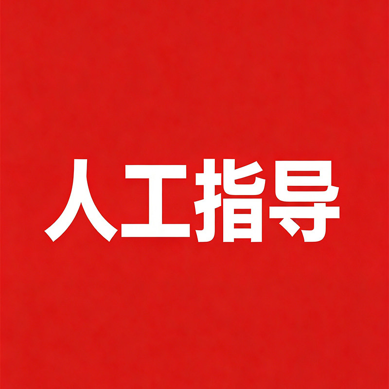 人工指导