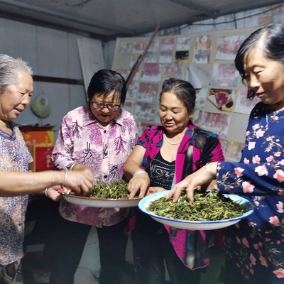 朔州市山阴c县苦豆豆香草制作香包香袋香囊原料衣柜清新驱蚊100g