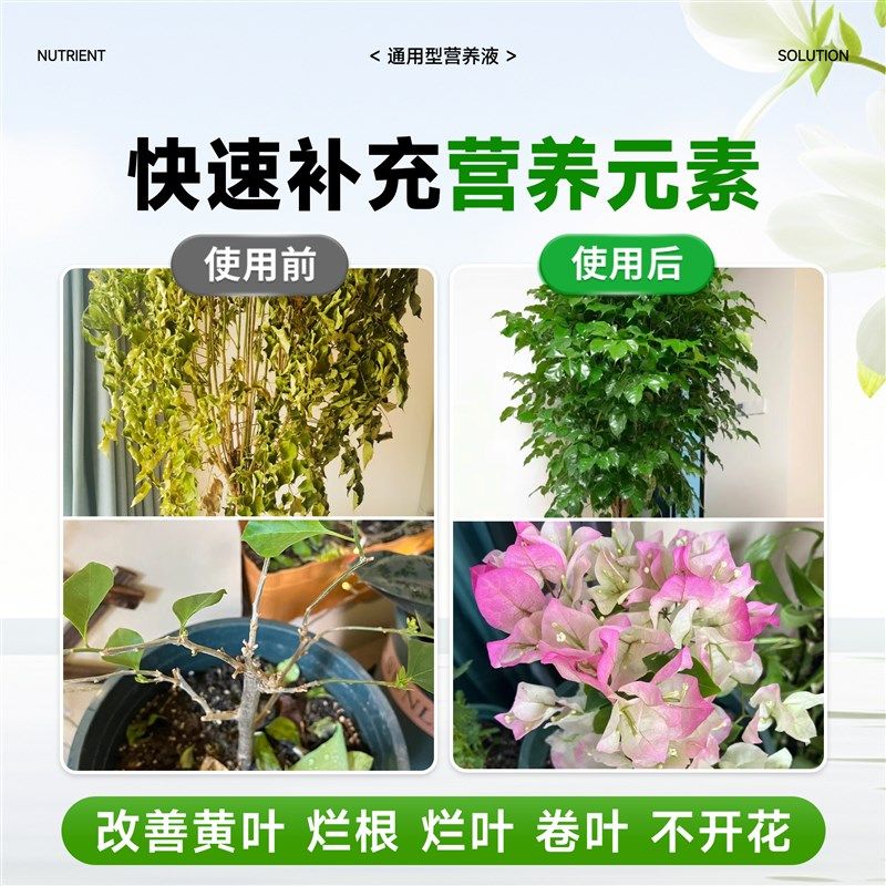 免稀释植物营养液通用型盆栽花卉室内绿植发财树金钱树叶面喷施肥,鲜花速递/花卉仿真/绿植园艺,家庭园艺肥料,淘宝优惠券,粉丝福利购,淘宝优惠卷