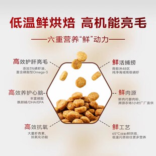 弗列加特烘焙猫粮全价低温成猫幼猫乳鸽鸡肉味鲜肉试吃装布偶猫饭