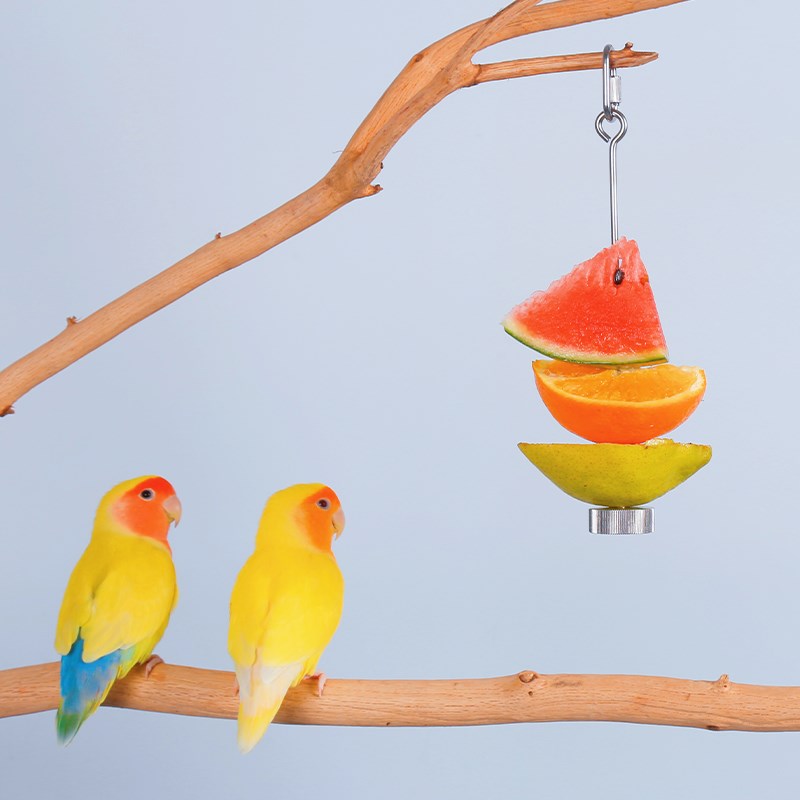 鹦鹉鸟用不锈钢水果叉啃咬玩具水果棒喂食器鸟类喂水果专用夹子
