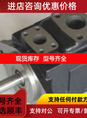 DENISON丹尼逊双泵T6CC-031-008-1R00-C100