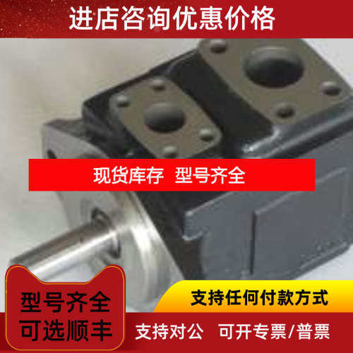 DENISON丹尼逊双泵T6CC-031-008-1R00-C100