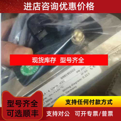 honsberg豪斯流量计MR1K01-025GM060-421商