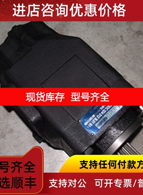 法国丹尼逊DENISON T6DC-024-012-3L01-B1叶片泵 液压油泵议价