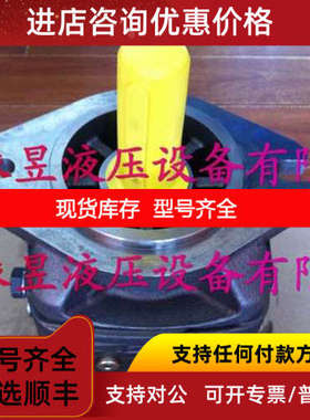 R901283404 力士乐齿轮泵 PGM5-3X/100RA11VU2