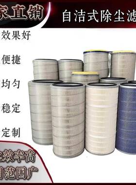 自洁式空气滤芯 滤筒 DH32100 K3290空压机 风机 钢厂制氧机滤芯