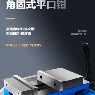 平口钳精密台钳机用虎钳CNC重型铣床加工中心批士6 戴巨角固式