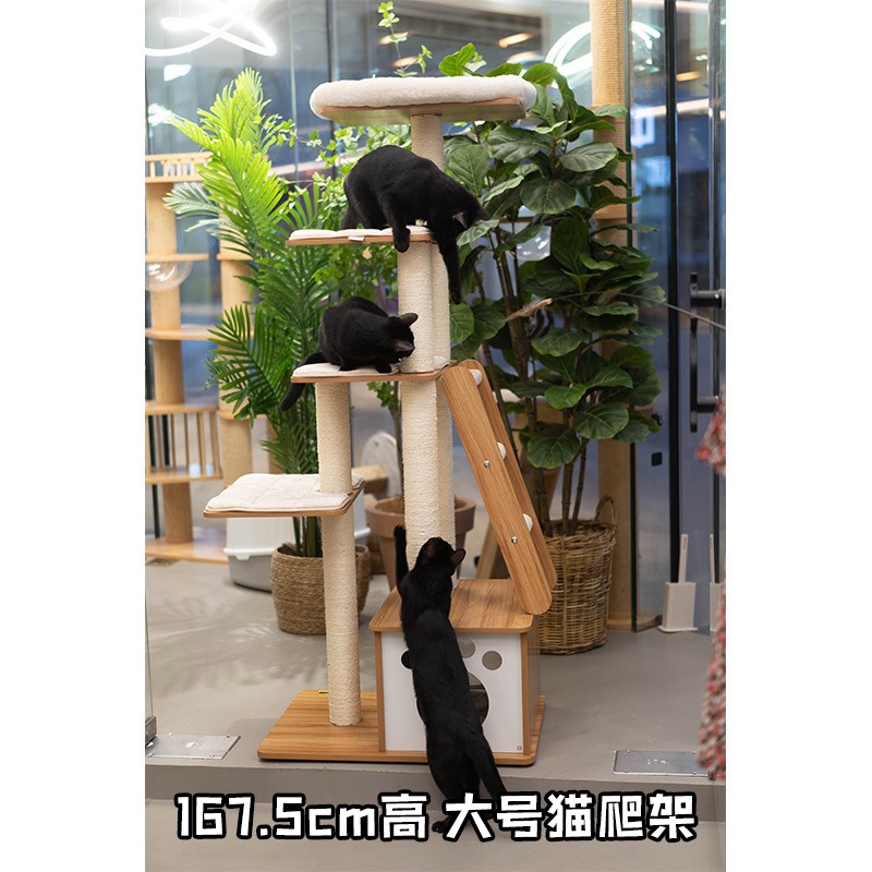 【柿子菌】猫爬架 猫窝猫树一体猫别墅大型猫架猫抓板 猫抓柱猫塔