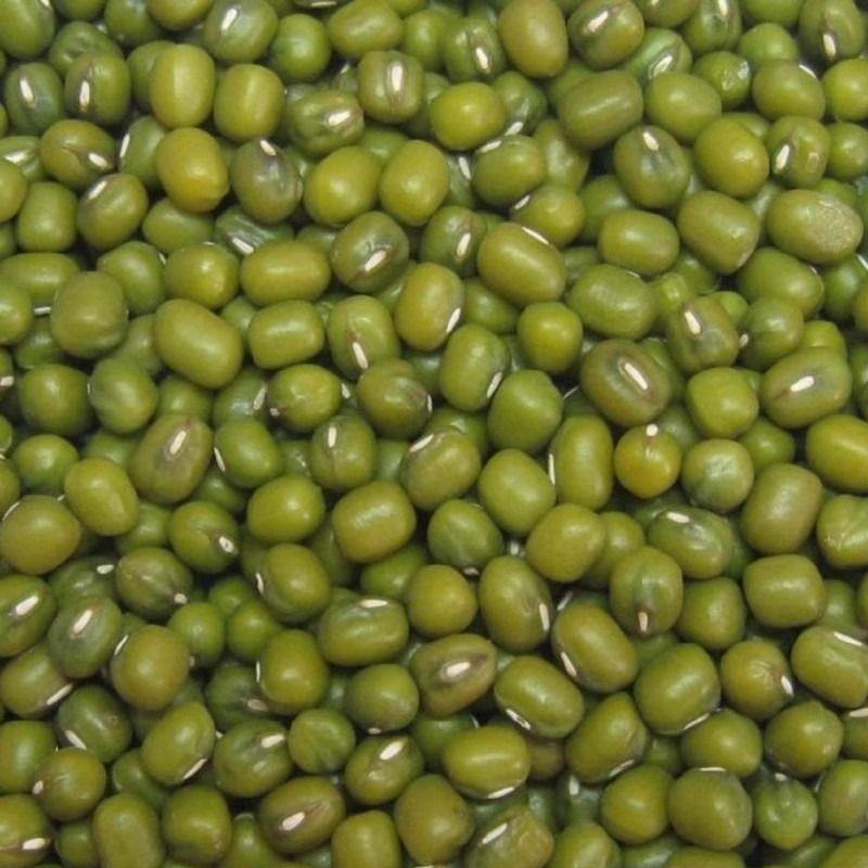 现货新精品绿豆100g*1袋饱满大颗粒绿豆汤粥早餐配料绿豆糕原料食