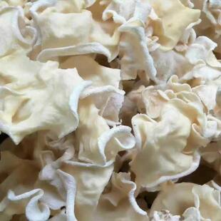 新货白木耳白玉木耳小碗耳兔耳菌白竹菇非黑木耳干货竹耳今年