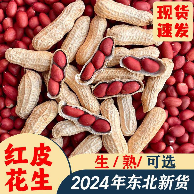 新日期红皮花生带壳2024新