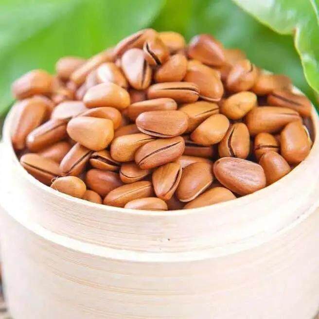 现货新货东北红松子大颗粒散装价开口松子手剥松子孕妇坚果零食连
