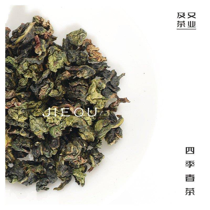 现货四季春乌龙茶霸王金观音一点蜜雪鲜奶茶店台湾冰城四季青及又