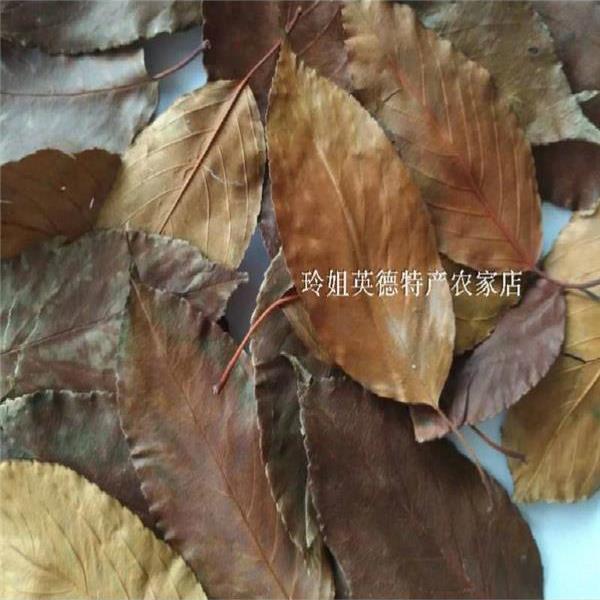 现货棠梨叶塘梨叶禾梨叶糖梨叶无硫野 生棠梨砖茶原叶新非山楂叶