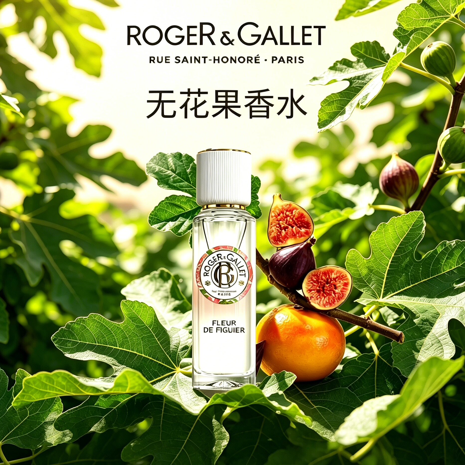 【618抢购】香邂格蕾香水无花果香桂花男士香水女士留香红姜香水