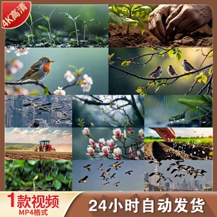 高清雨水节气春天农忙万物生长谷雨时节春雨润物高清视频素材