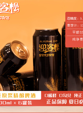 迎客全麦原浆精酿啤酒麦芽浓度12P 500ml*6瓶整箱果味网红精酿
