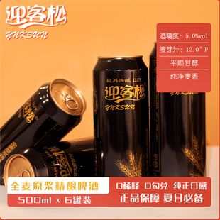迎客全麦原浆精酿啤酒麦芽浓度12P 500ml*6瓶整箱果味网红精酿