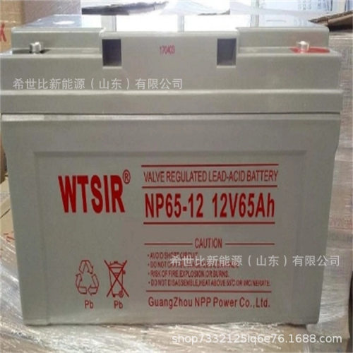 WTSIR维塔斯蓄电池NP65-12免维护12V6H发电厂和变电站储能