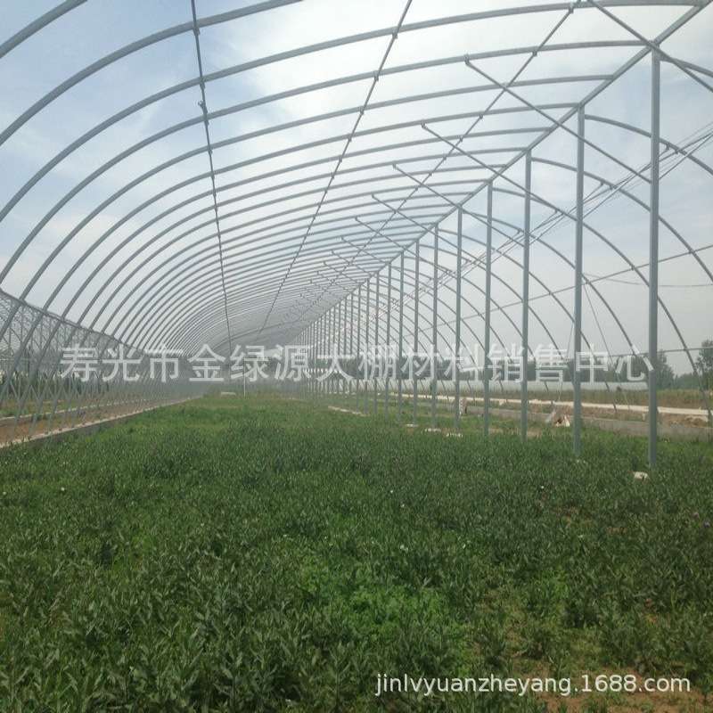 热镀锌椭圆管保温大拱棚 育苗棚全钢构日光温室养殖棚30*75椭圆管