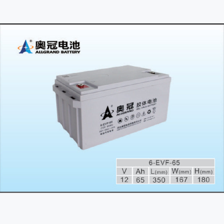 奥冠12V65AH 6-EVFJ-65电动汽车用铅酸胶体电池