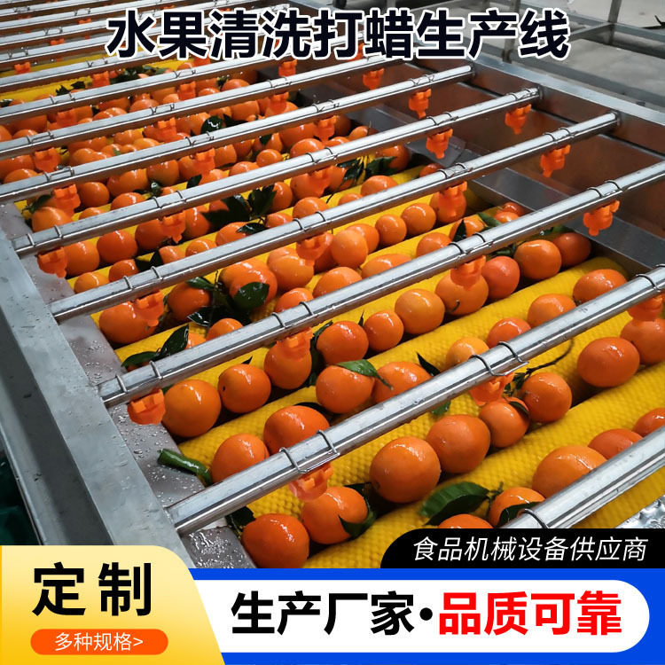 水果清洗打蜡风干流水线柑橘脐橙沃柑选果机全自动水果加工设备