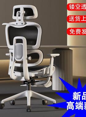 人体工学椅子镂空座垫护腰电脑椅人工力学座椅电竞久坐办公椅新款