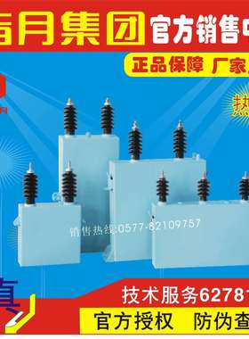 指月高压并联电容器BFMR11-100-3W,BAMR11-100-3W,BWMR11-100-3W