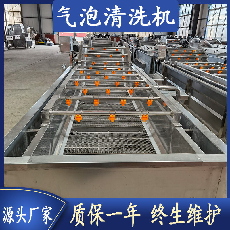 果蔬气泡清洗机多功能泡式清洁