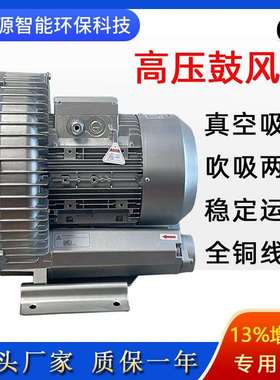 抽真空机RB-61D-2雕刻机真空泵RB-81D-2高压气泵分板雕刻吸附风机