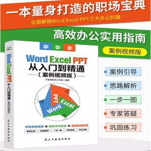 从入门到精通学真实案例做实用技能投资自己从精通从职场小白到办公高手一本搞定 PPT Word Excel