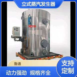 全自动蒸汽发生器酿酒蒸煮粮食豆制品豆浆煮沸微型蒸汽锅炉