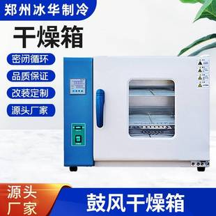 鼓风干燥箱智能控温恒温烘箱烤箱电热实验工业商用烤箱老化箱