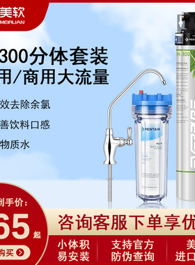 爱惠浦Everpure爱惠浦净水器家用厨房自来水过滤器直饮机H-300