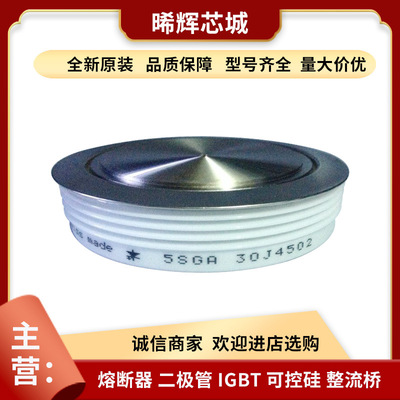 5SGA 30J2501 5SGA 30J3501 全新原装晶闸管与可控硅库存充足